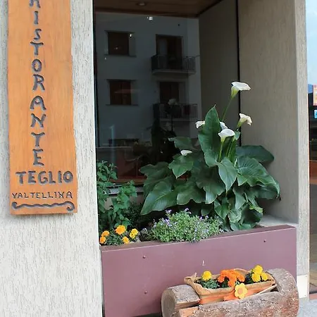 Отель Hotel La Rosa 3*